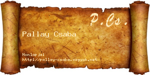 Pallay Csaba névjegykártya